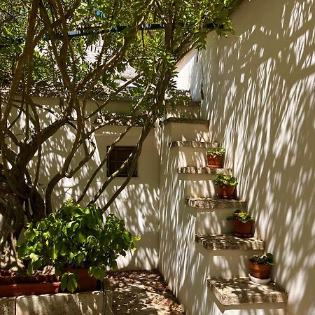 I Trulli Della Naturabio Martina Franca Kültér fotó
