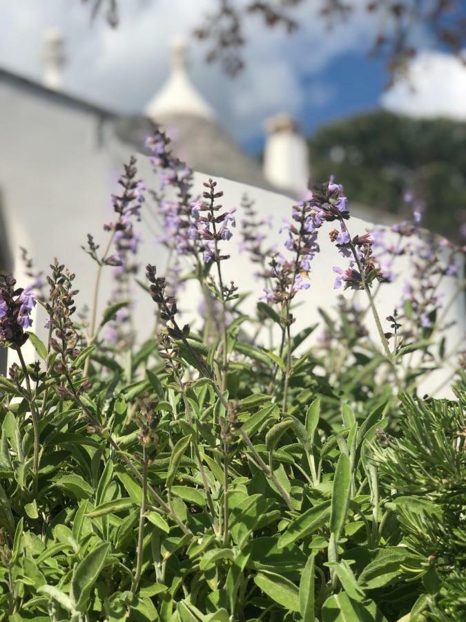 I Trulli Della Naturabio Martina Franca Kültér fotó