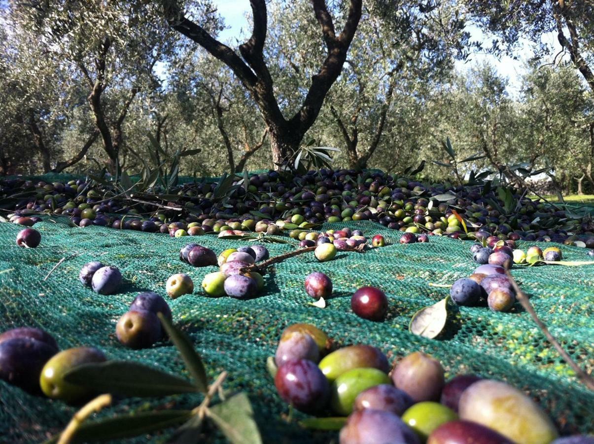 I Trulli Della Naturabio Martina Franca Kültér fotó