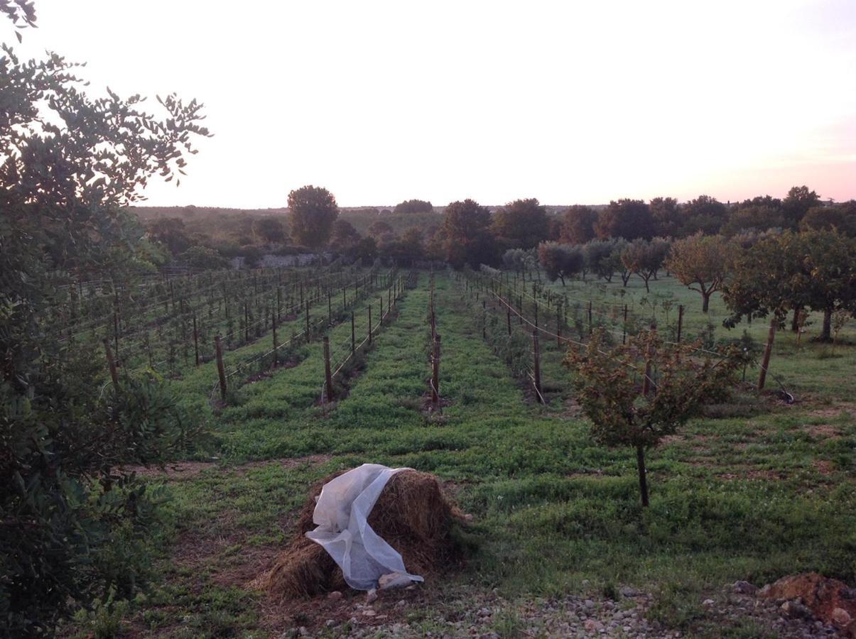 I Trulli Della Naturabio Martina Franca Kültér fotó