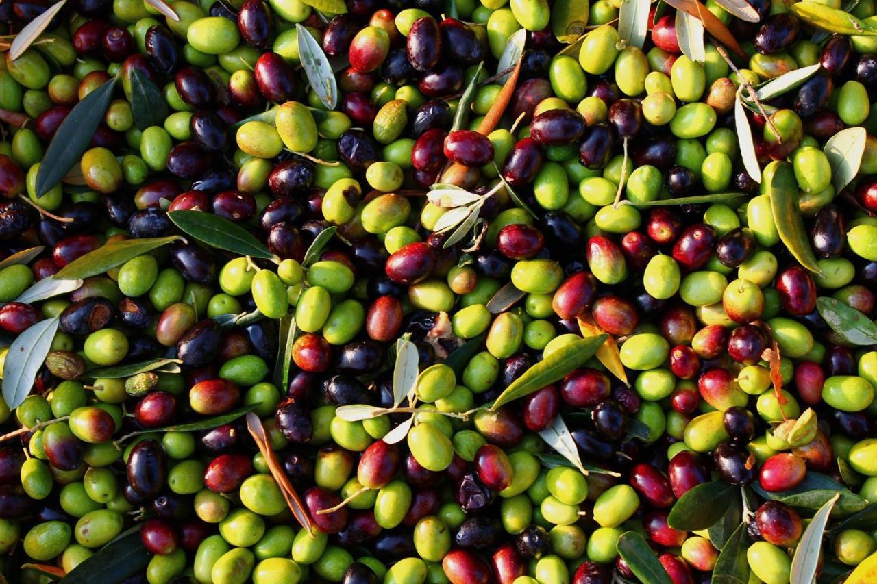 I Trulli Della Naturabio Martina Franca Kültér fotó